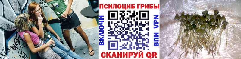 Галлюциногенные грибы GOLDEN TEACHER  Купить  Кондопога 